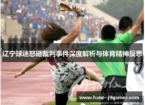 辽宁球迷怒砸裁判事件深度解析与体育精神反思 辽宁球迷怒砸裁判事件深度解析与体育精神反思